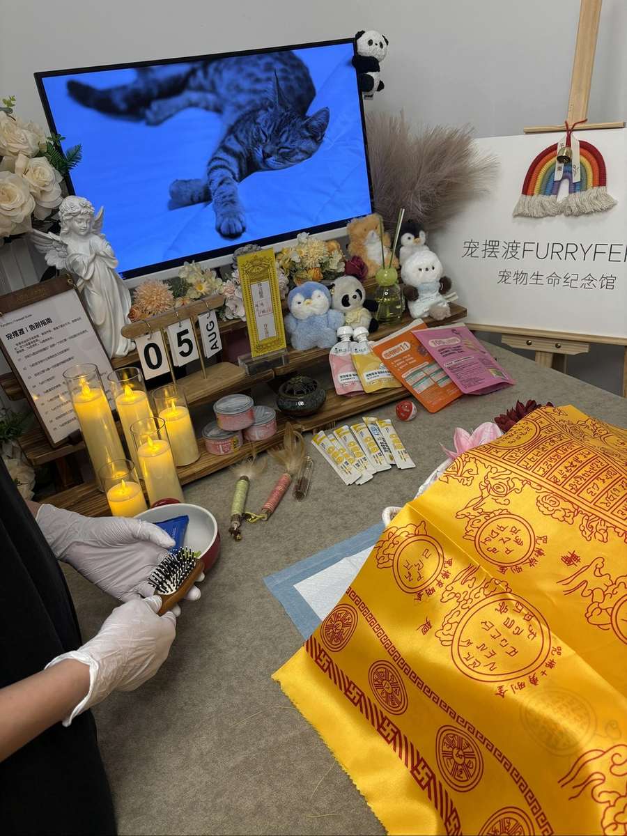 沧州宠物殡葬告别厅实景