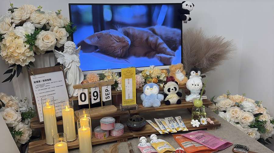 沧州宠物单独火化